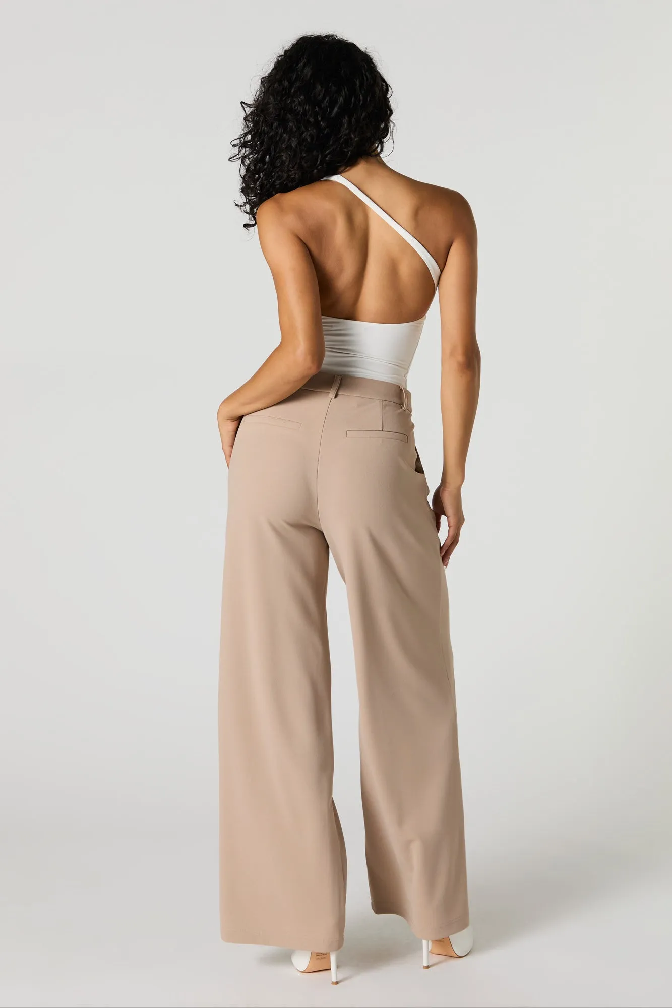 Asymmetrical V-Waist Wide Leg Dress Pant